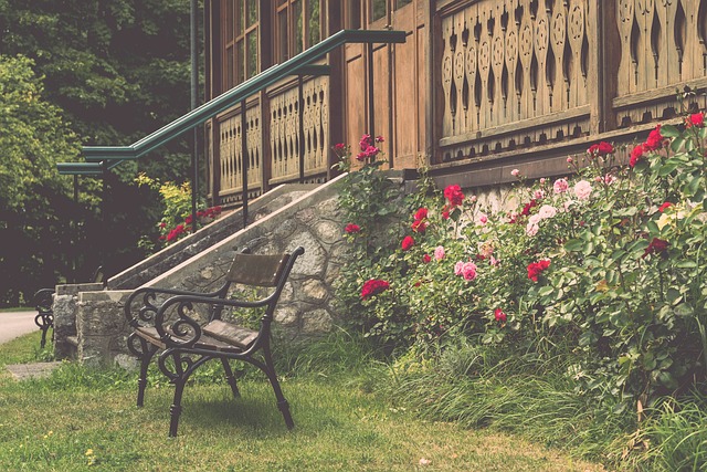 结束非洲行，王毅没直接回国，专机降落印度邻国，马总统对华交底.